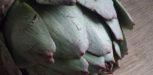 Frische Artischoke