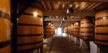 Chateau Mouton Gaerkeller