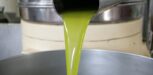 Frisches natives Olivenöl