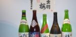 Japanische Sake Flaschen