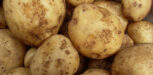 Kartoffeln
