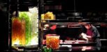 L’Atelier von Joël Robuchon