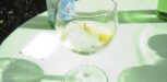 Mineralwasser mit Zitrone