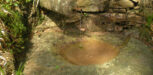 Wasserquelle