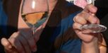 Weißwein Gläser