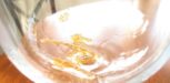 Weißwein Weinstein im Glas