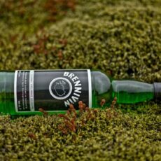 Kümmelschnaps aus Island: Brennivín
