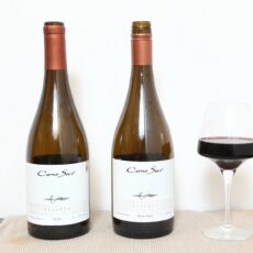 cono-sur-pinot-noir-syrah-2010