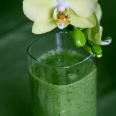 Püriert & gesund: grüner Smoothie