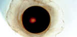 Die Kaffeeblume im Filter