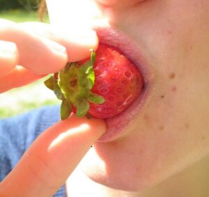Erdbeere essen