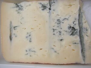 Italienischer Gorgonzola