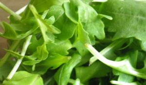 Ruccola Salat