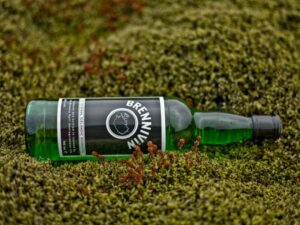 Kümmelschnaps aus Island: Brennivín